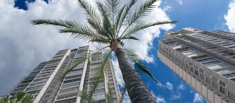 Apartamentos Gemelos Beninter