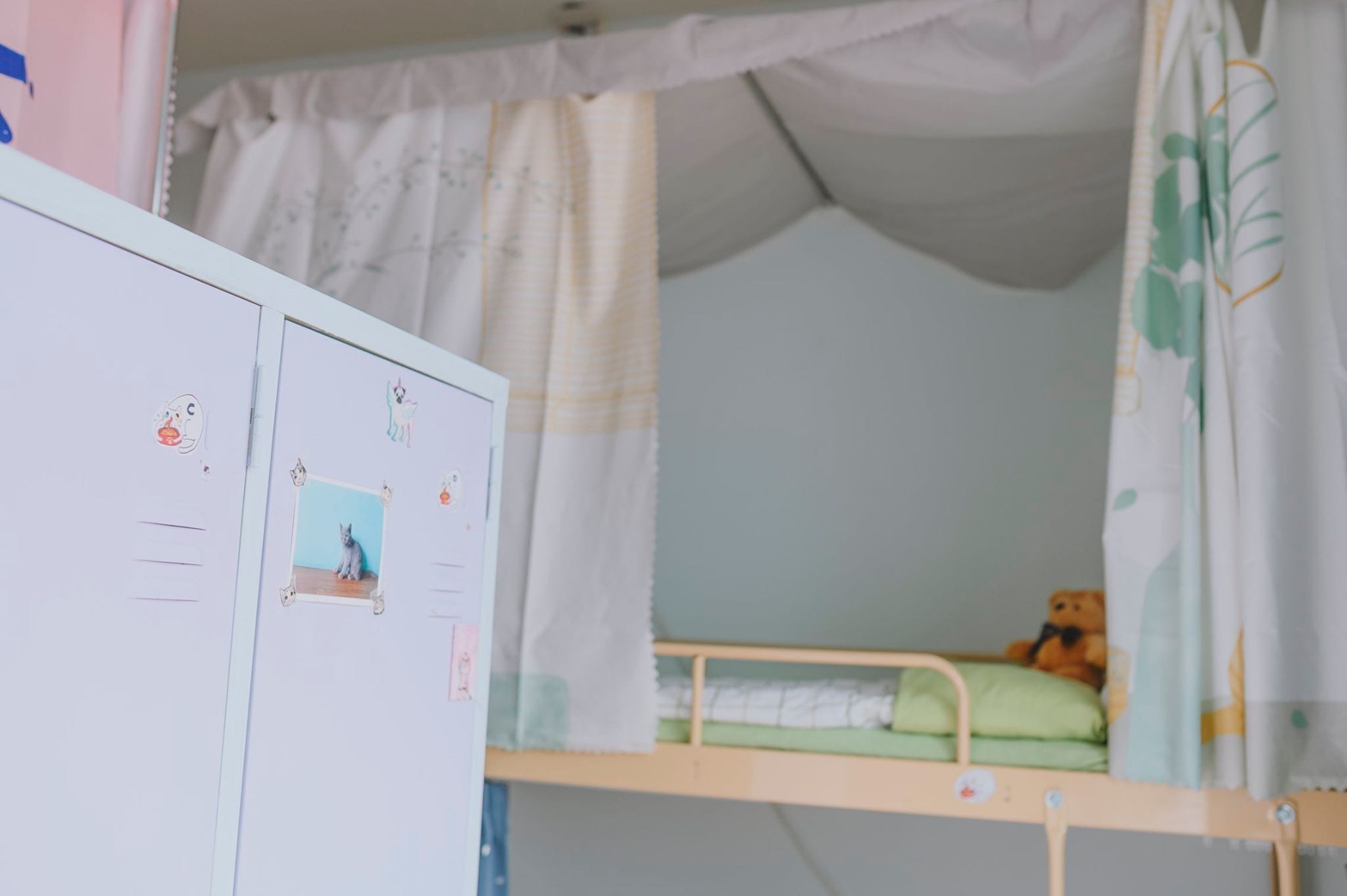 A bunk bed with a green mattress and a teddy bear on the lower bunk.