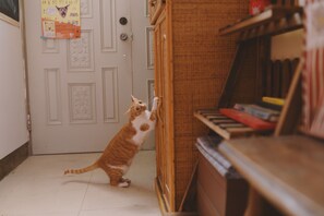 Pet-friendly - Red Letter Day (Tainan)