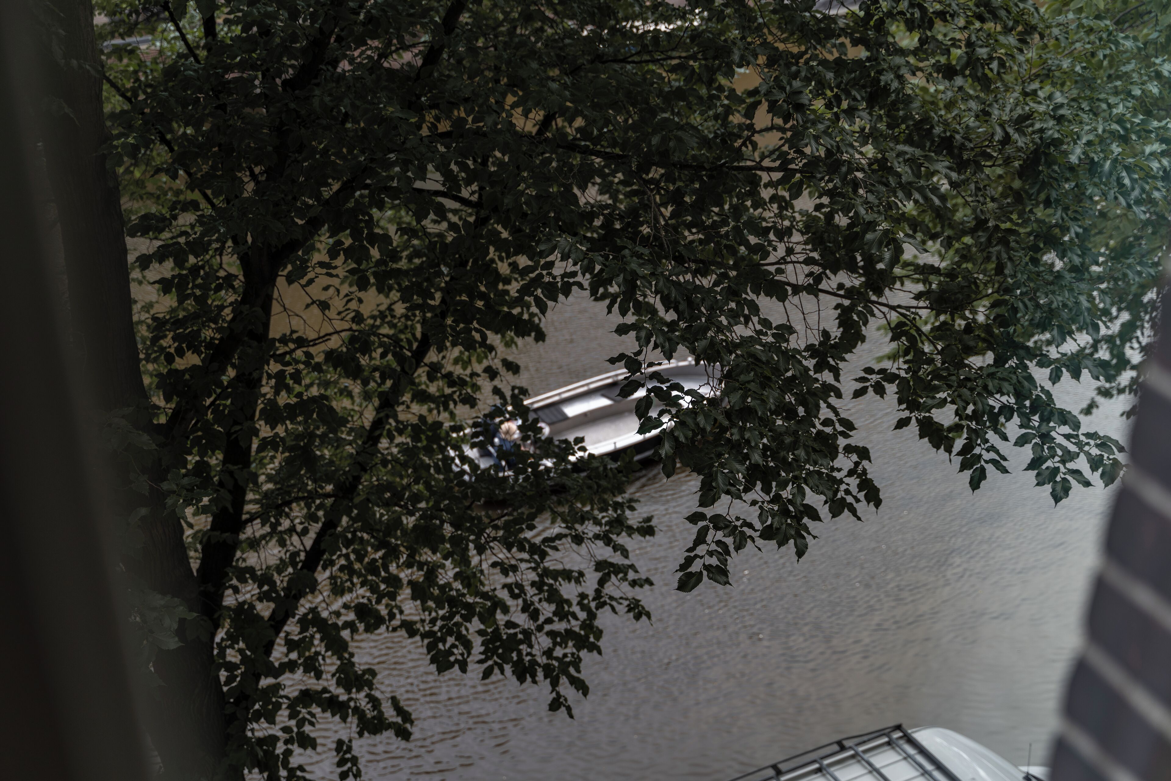 Een rivier met een brug en bomen op de voorgrond.