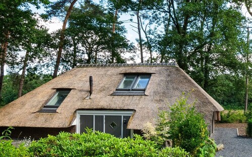 Sprielderbosch 38 Luxuriöses Ferienhaus auf einem Ferienpark auf den Veluwen