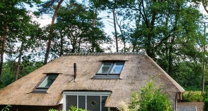 Sprielderbosch 38 Luxuriöses Ferienhaus auf einem Ferienpark auf den Veluwen