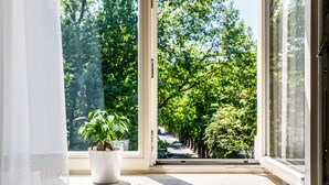 Une fenêtre avec un pot de fleurs sur le rebord, une vue sur une rue bordée d’arbres et un ciel dégagé.