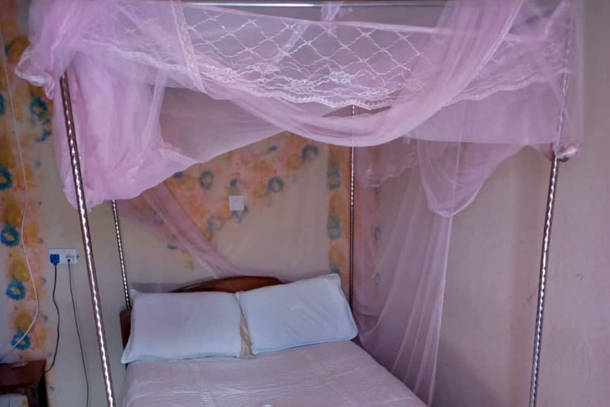 Habitación individual | Wifi gratis y ropa de cama