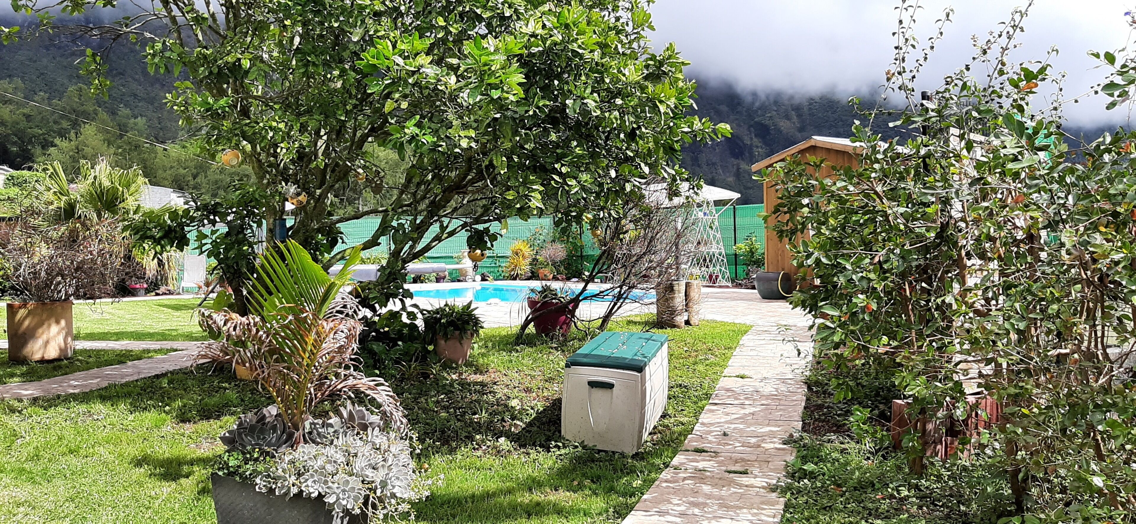 A garden with a pathway leading to a building, surrounded by various plants and a pool in the background.