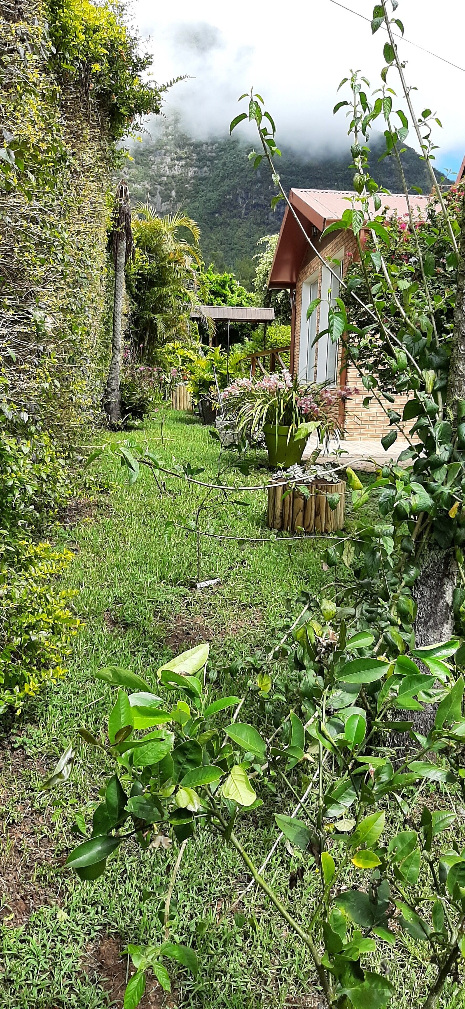 Ein rustikales Haus, umgeben von üppiger Vegetation und einem Garten.