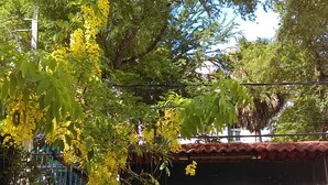 Property entrance - Pousada D'Olinda (Olinda)