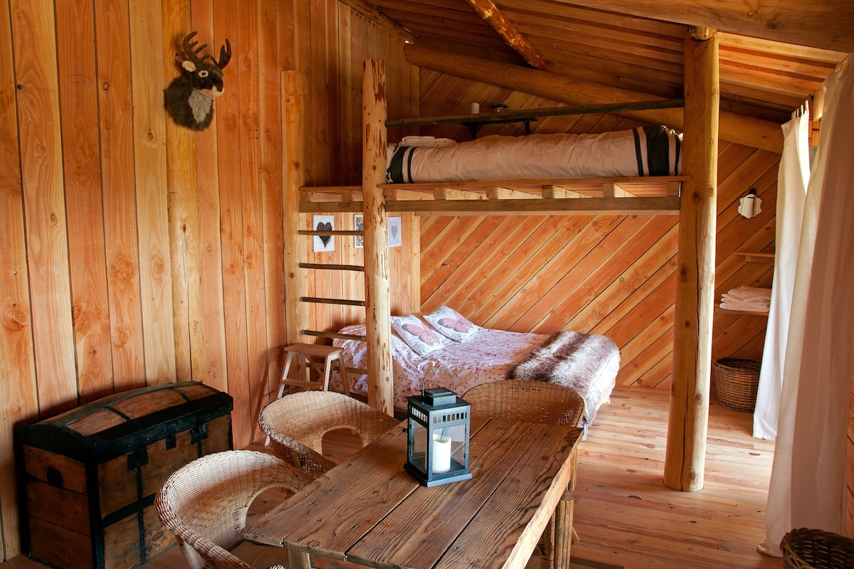 Cabin | In-room safe, individually decorated, individually furnished