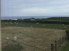 Land view from property