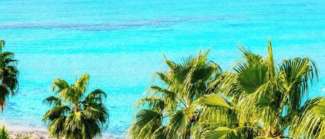 Playa