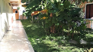 Ein überdachter Gang mit Fliesenboden, umgeben von üppiger Vegetation und blühenden Pflanzen.