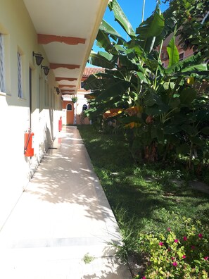 A covered walkway with a tiled floor, bordered by a low wall and lush greenery including banana plants and flowering shrubs. - Sophie Studios (Corfu)