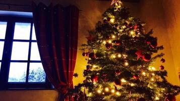 A Christmas tree with lights and ornaments, positioned next to a window with curtains.