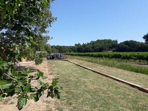 Property grounds - The Little House In the Vines with Pool (Chamaret)