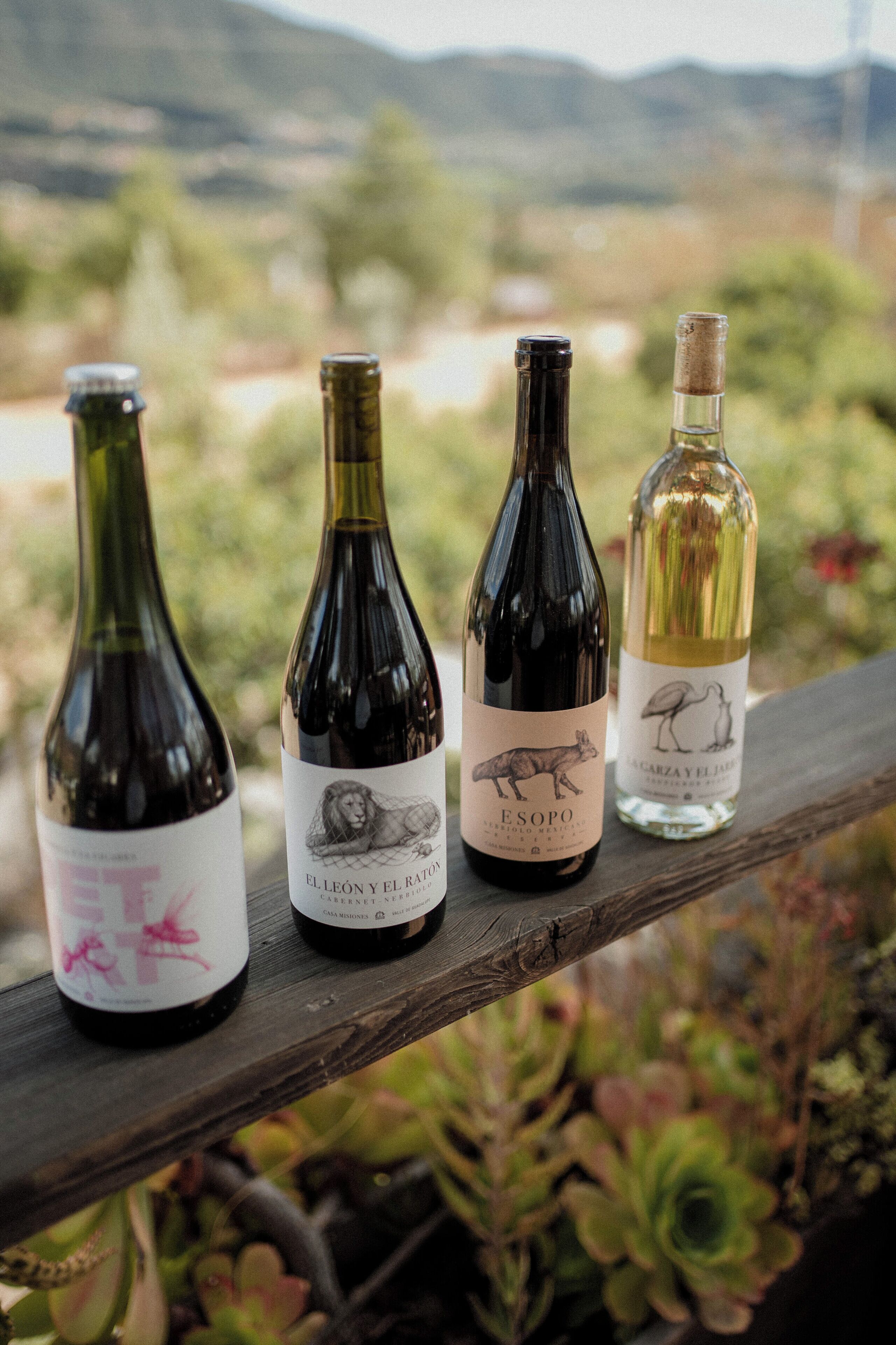 Three wine bottles on a wooden surface with a natural landscape in the background.