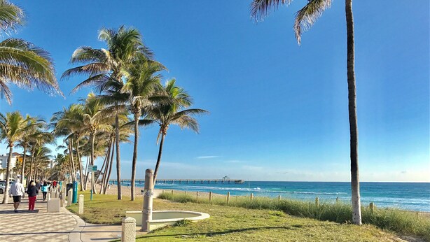A coastal walkway lined with palm trees and a pier extending into the sea.
