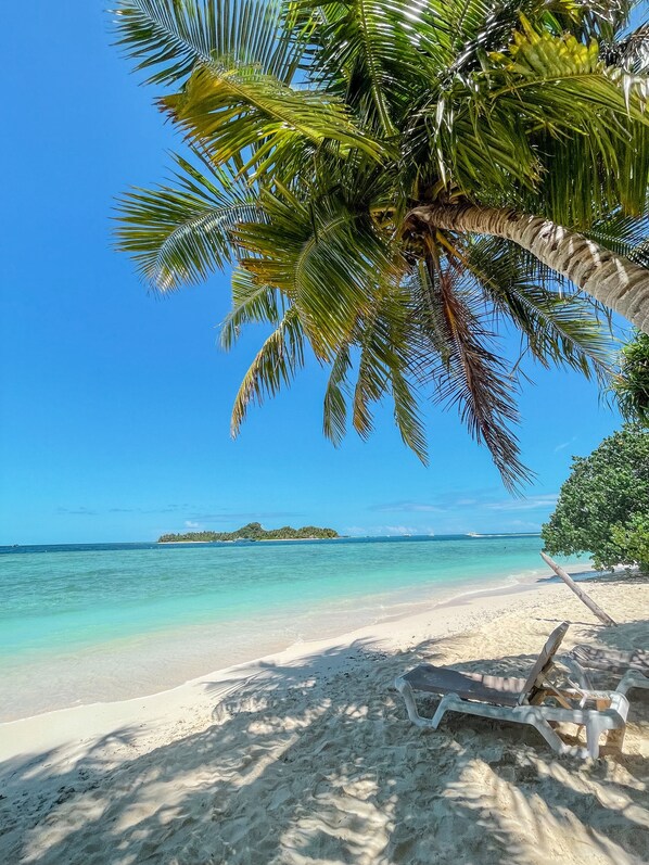 إطلالة على البحر/الشاطئ