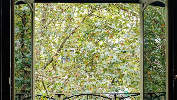 A room with a large window, a sofa with cushions, and a view of trees and a fence outside. - The Hunfeld (Utrecht)