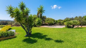 Um jardim bem cuidado com diversas plantas e um céu azul límpido.