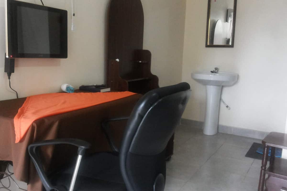 A room with a bed, a desk, a chair, a television, a mirror, and a sink.