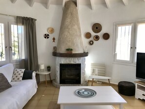 Smart TV, fireplace, books