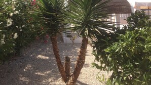A garden with two palm trees and a variety of flowering plants.