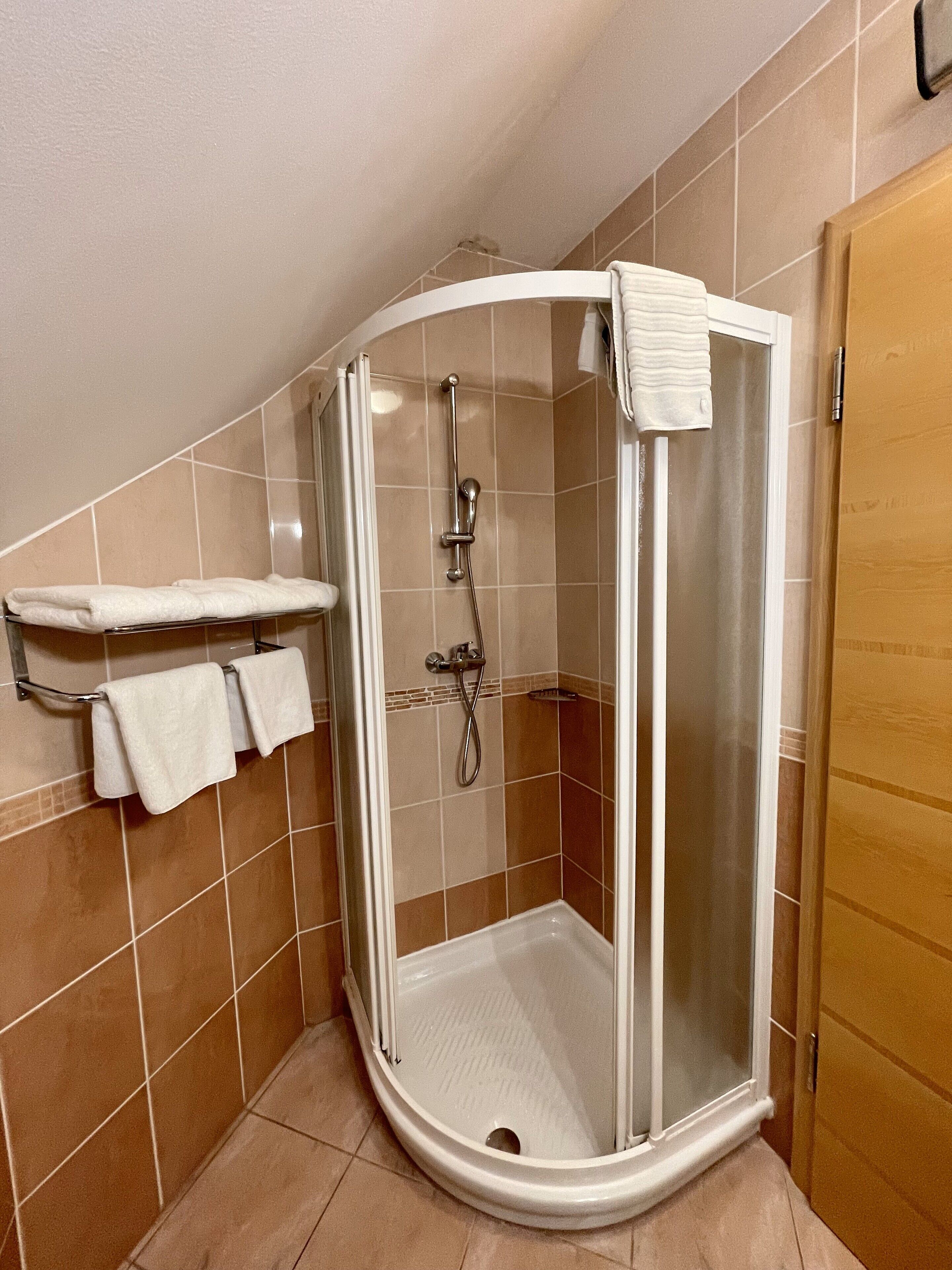 Um chuveiro no canto com porta de vidro, um porta-toalhas branco e uma porta de madeira.