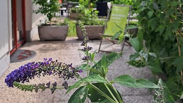 豪華開放式客房 (Apartma z 1 spalnico s teraso) | 露台/庭院