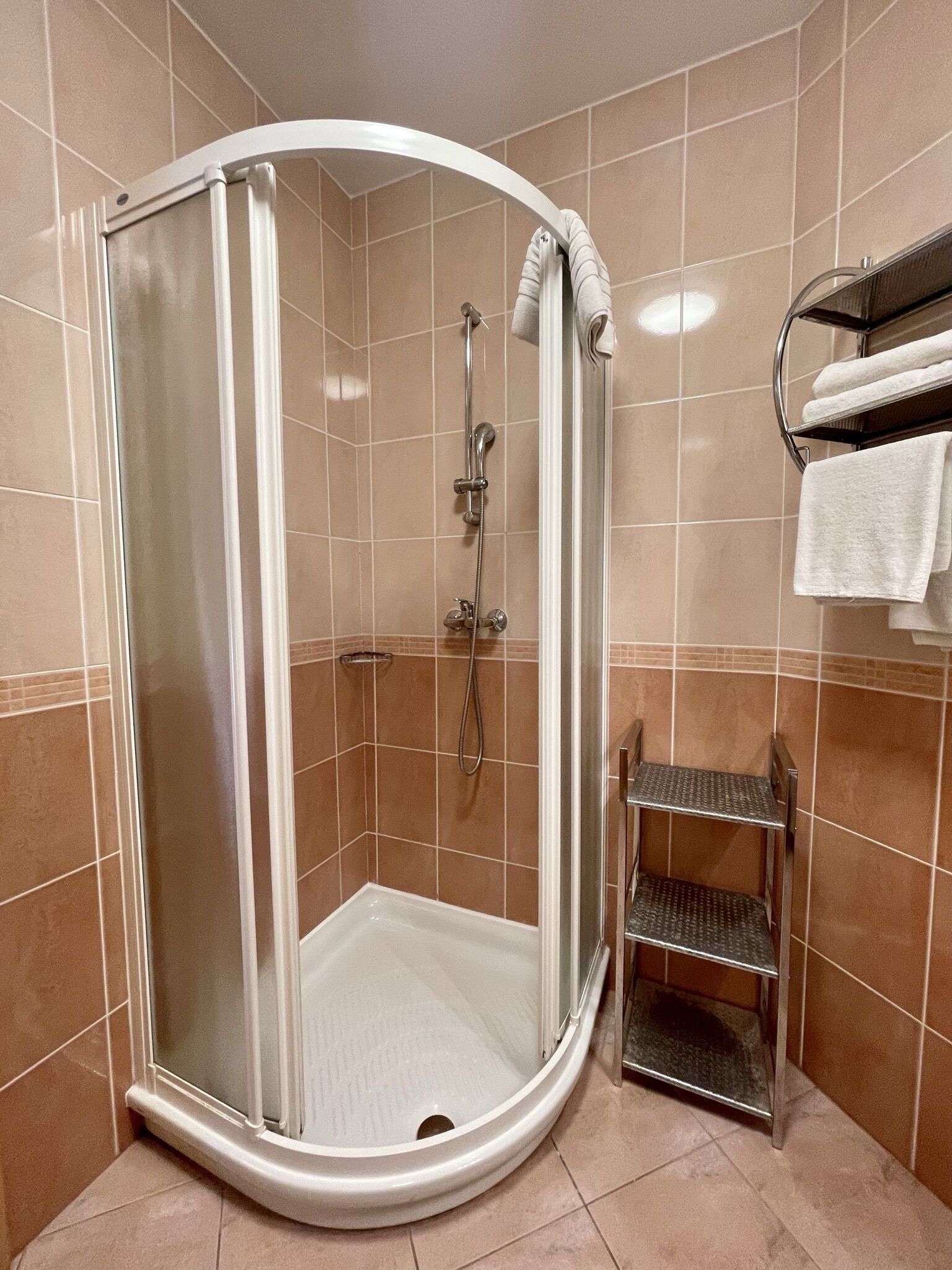 A corner shower with a glass door, a metal showerhead, and a towel rack with towels.