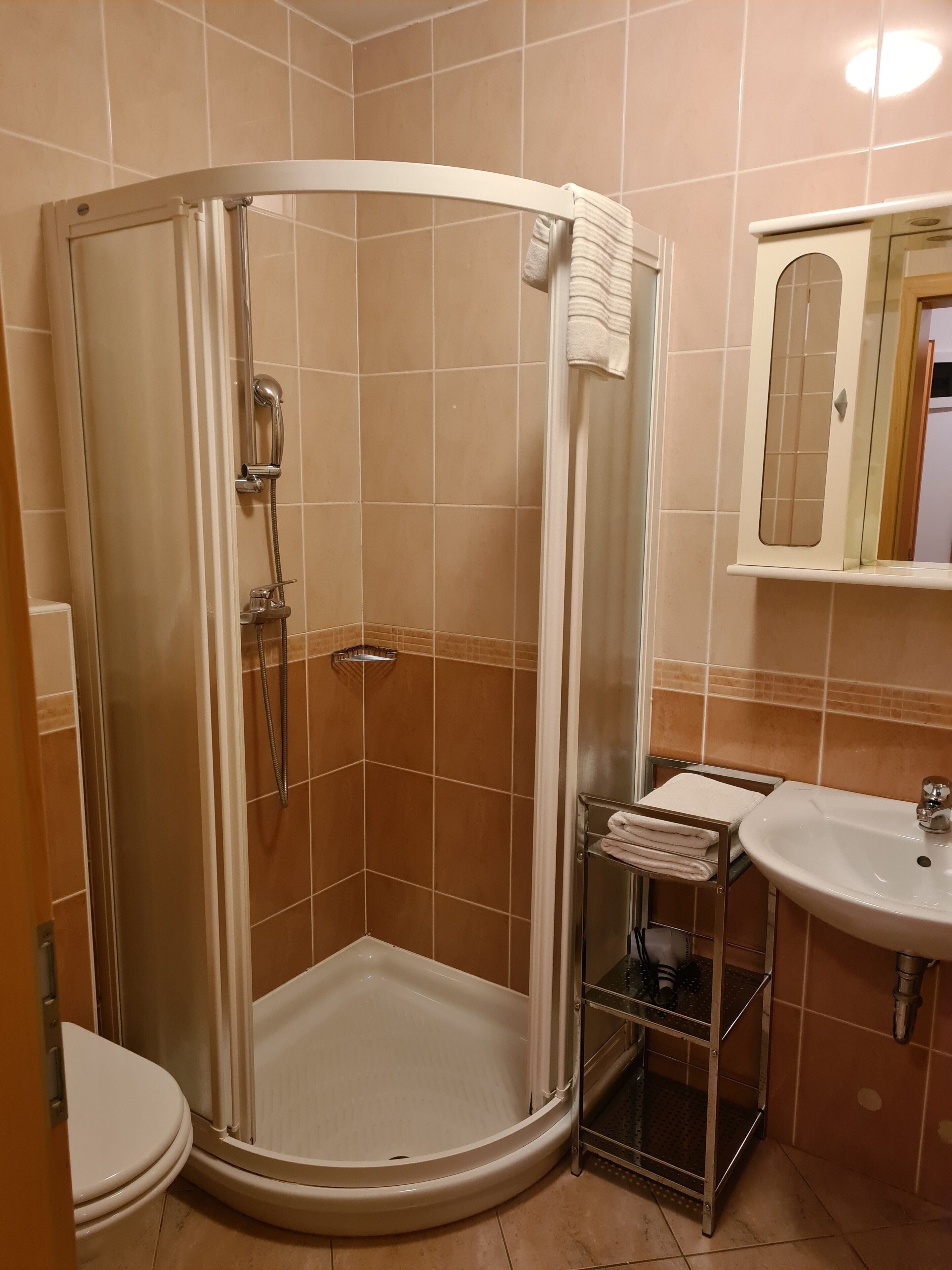 Une douche d’angle avec une porte en verre, un lavabo blanc et un miroir au-dessus.