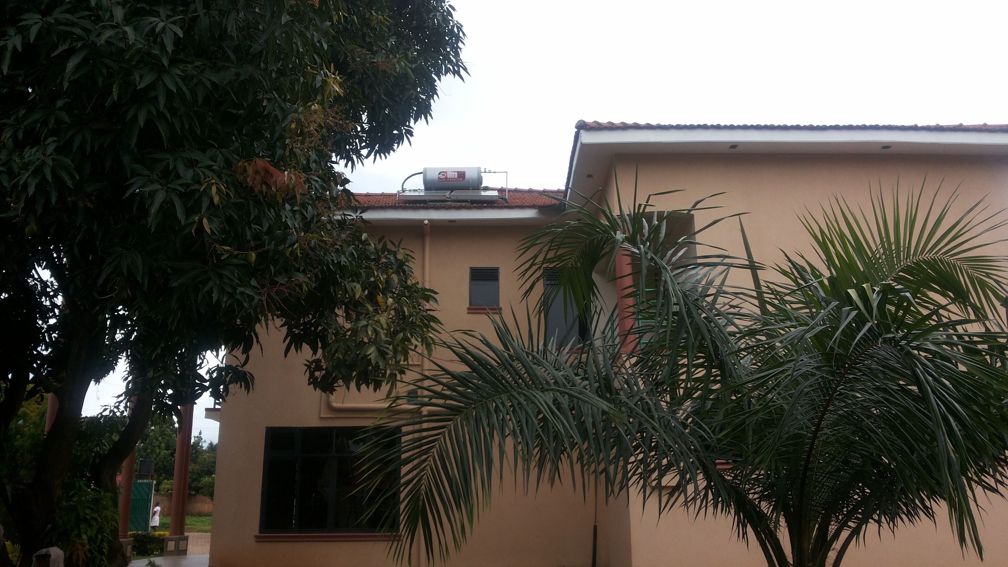 Un edificio con techo plano, una ventana pequeña y un árbol grande al frente.