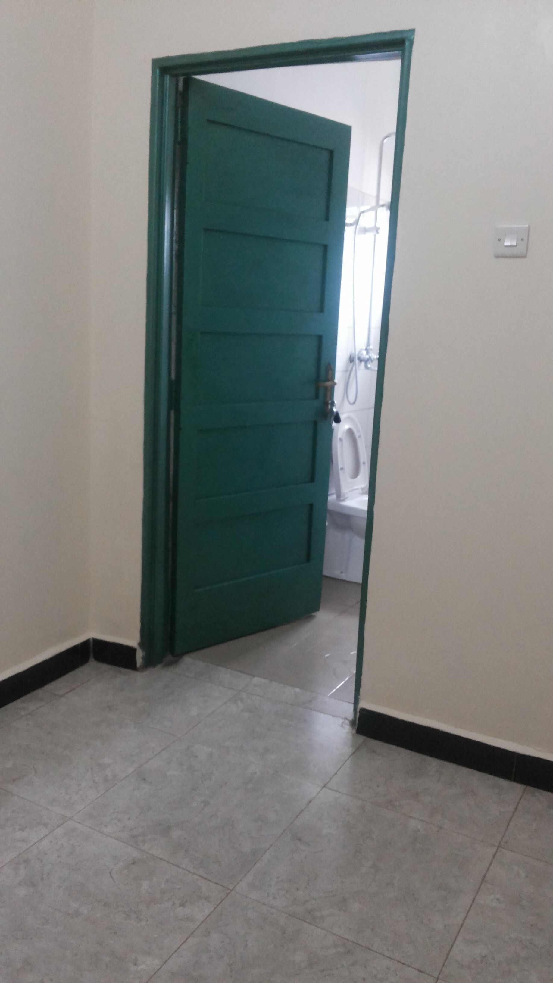 A hallway with a green door leading to a bathroom.
