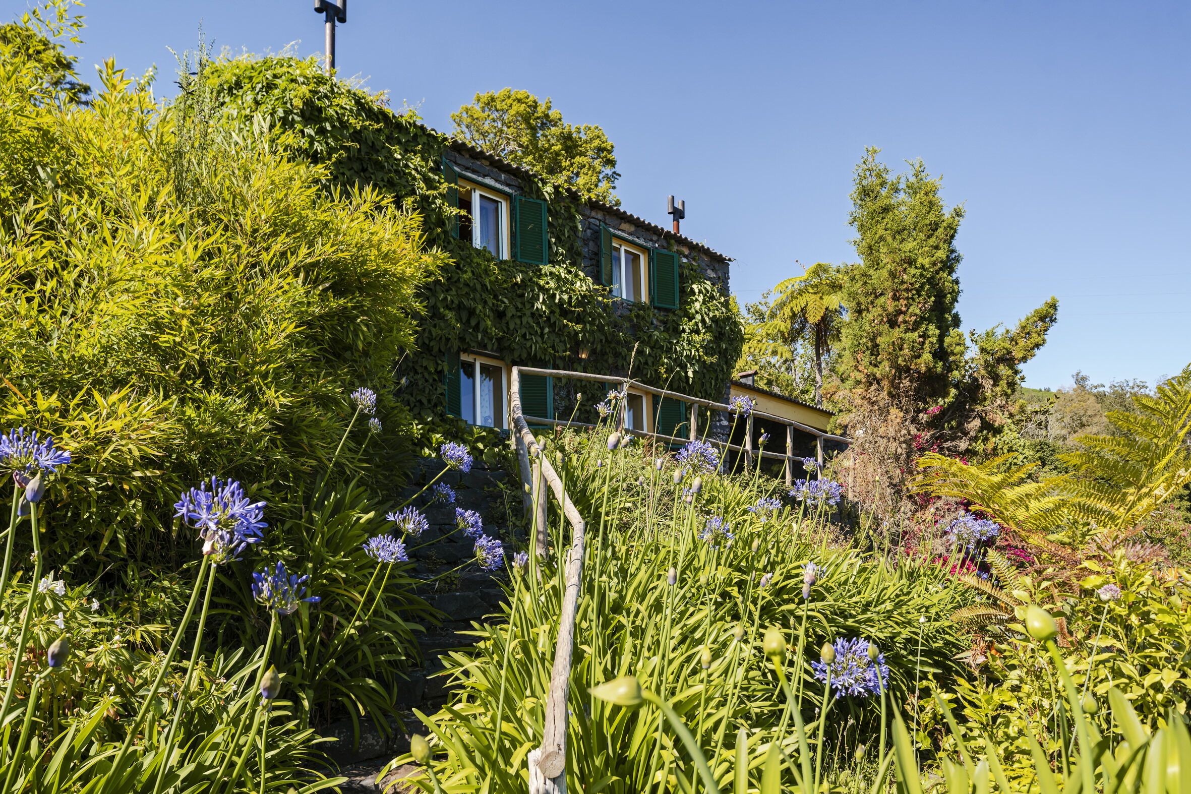 Photo - Quinta Devónia by An Island Apart