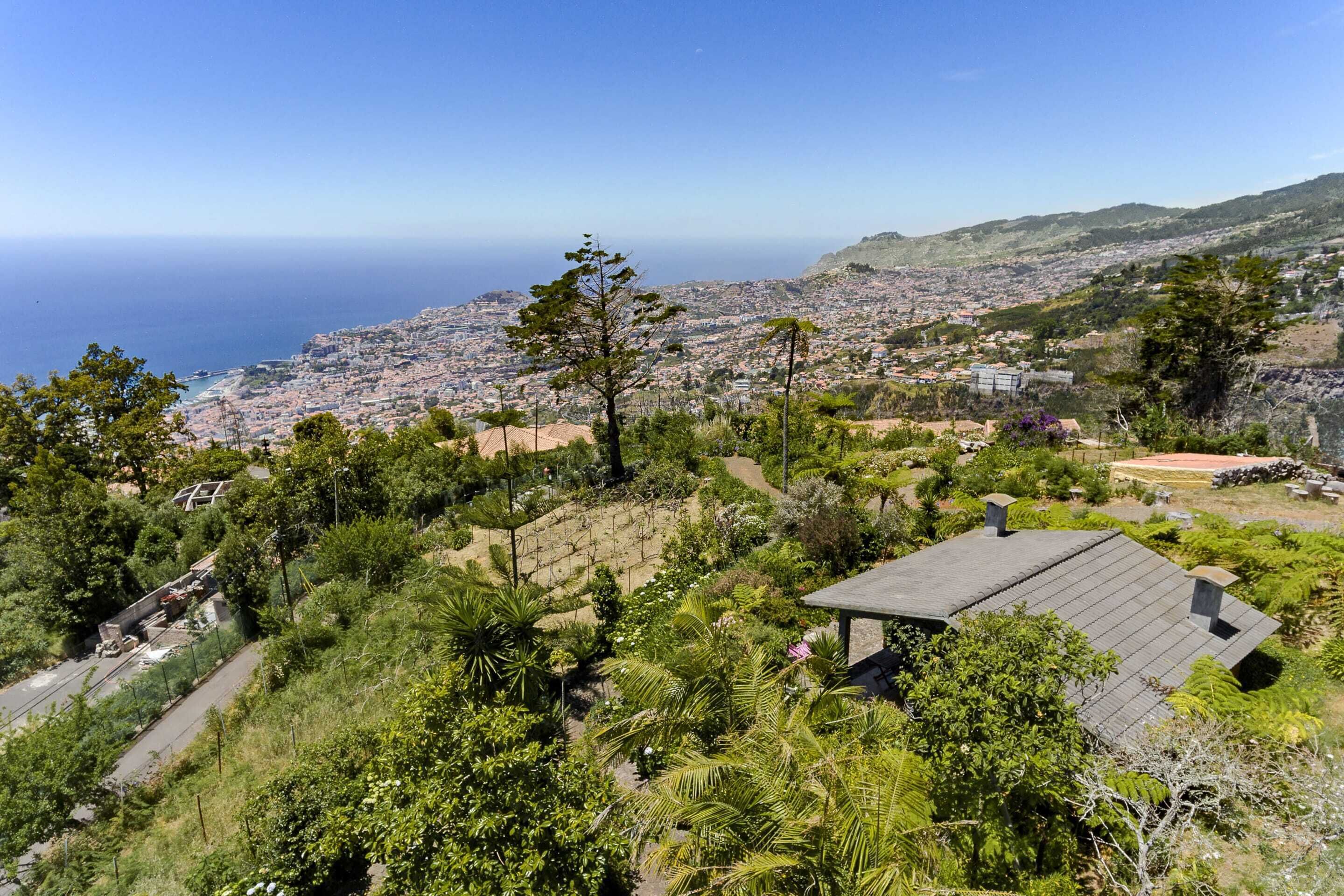 Photo - Quinta Devónia by An Island Apart