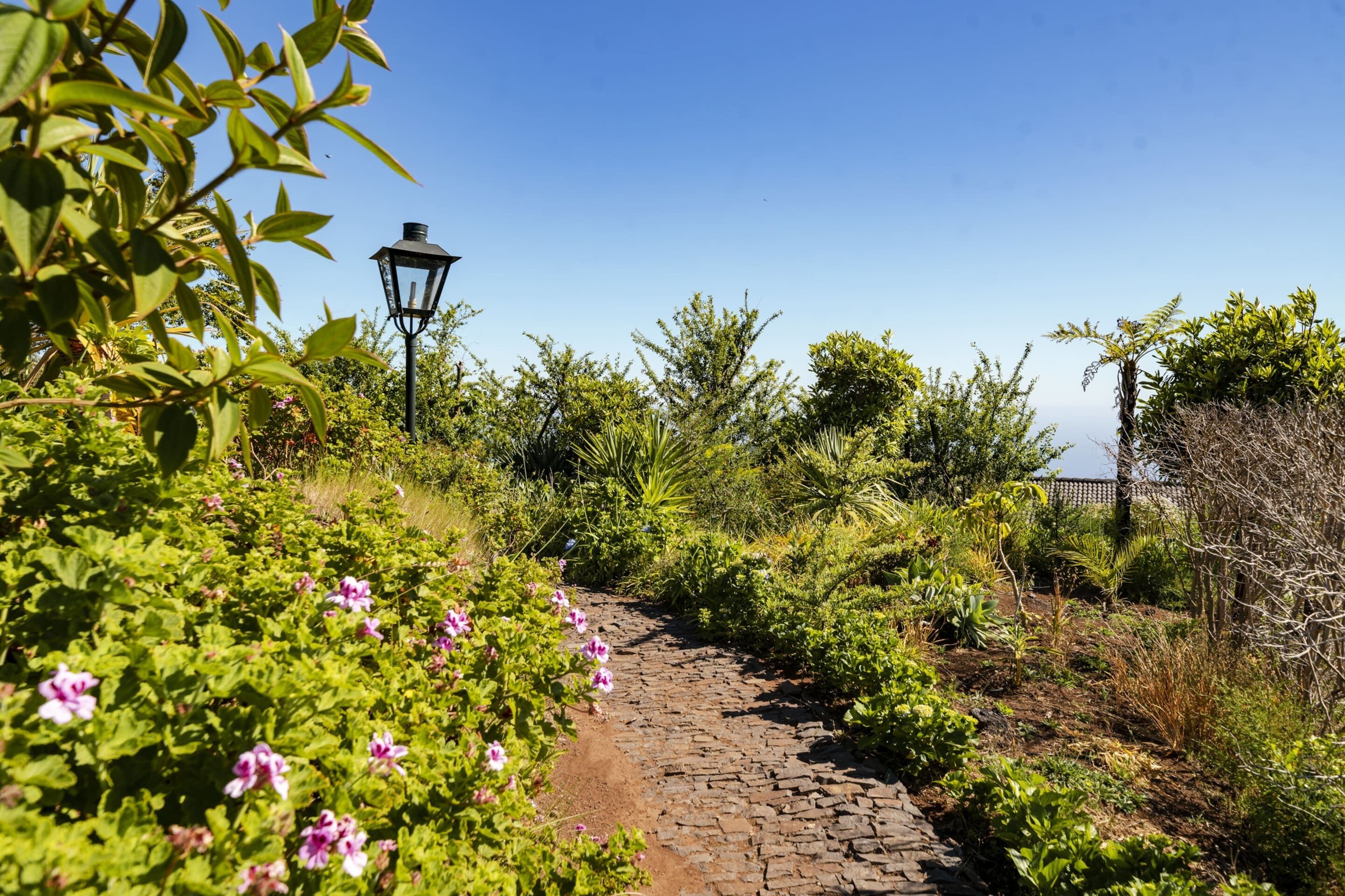 Photo - Quinta Devónia by An Island Apart