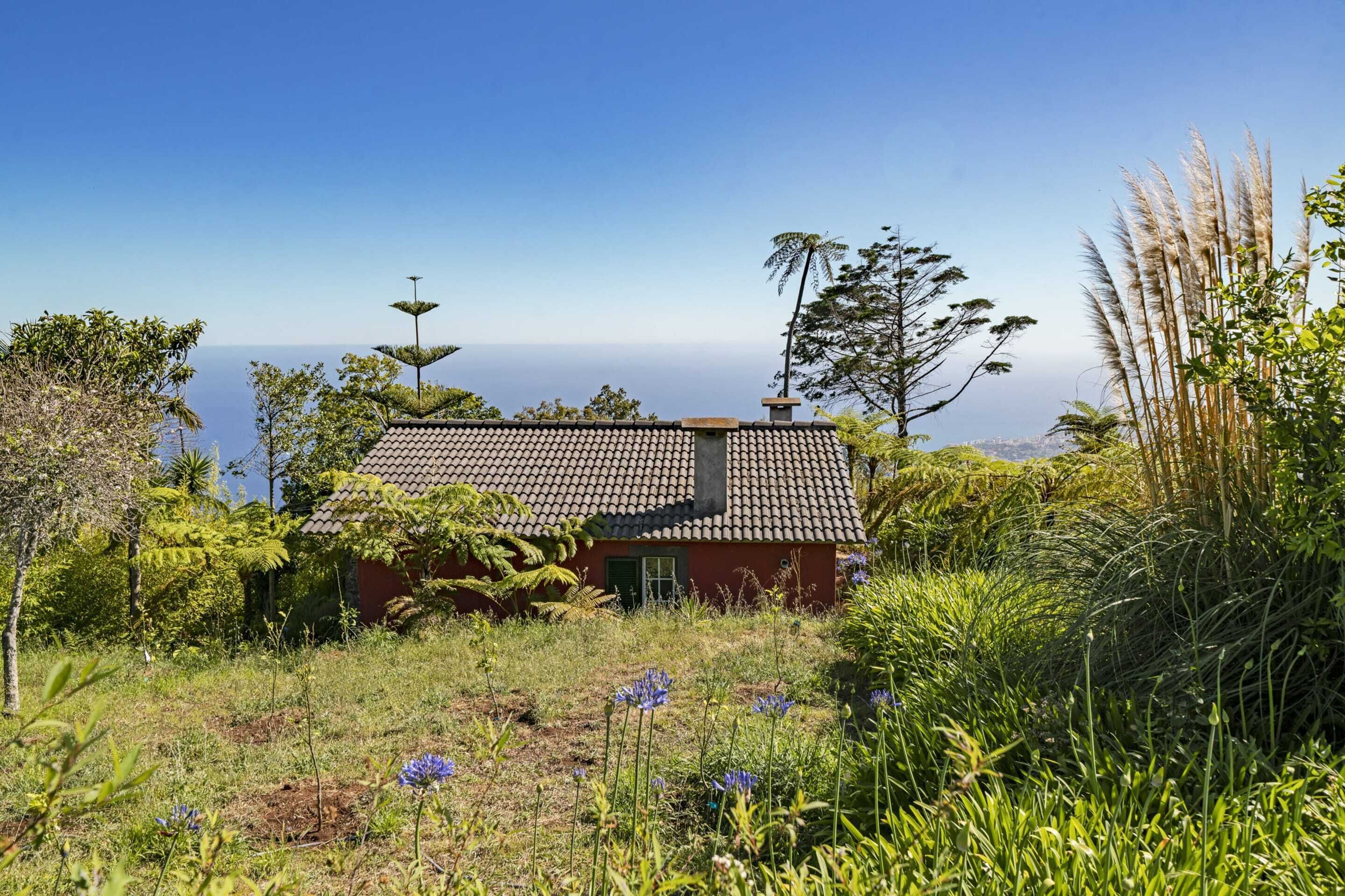 Photo - Quinta Devónia by An Island Apart