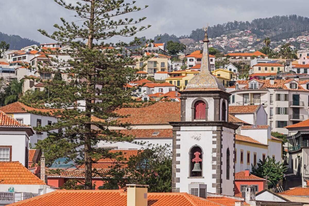 A coastal town with terracotta-roofed buildings, a prominent bell tower, and a pine tree in the foreground.