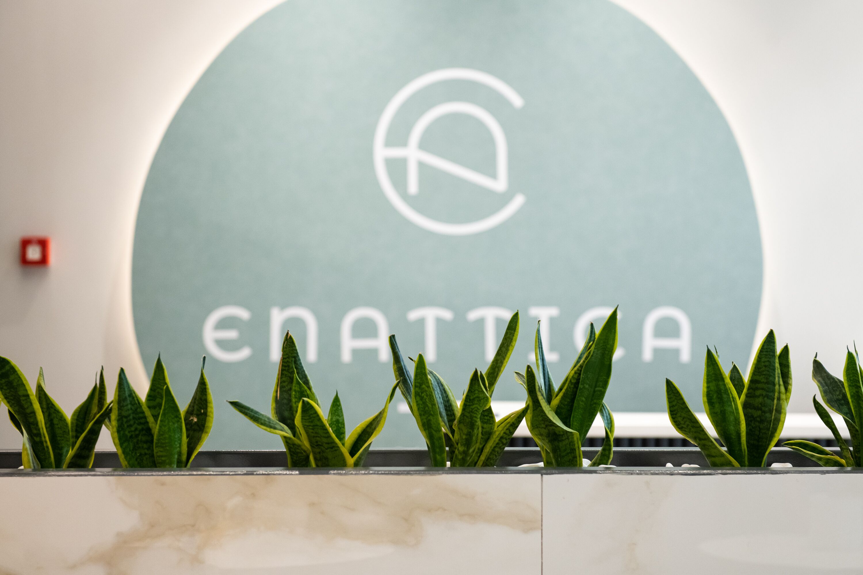 A reception area with a marble counter and green plants.