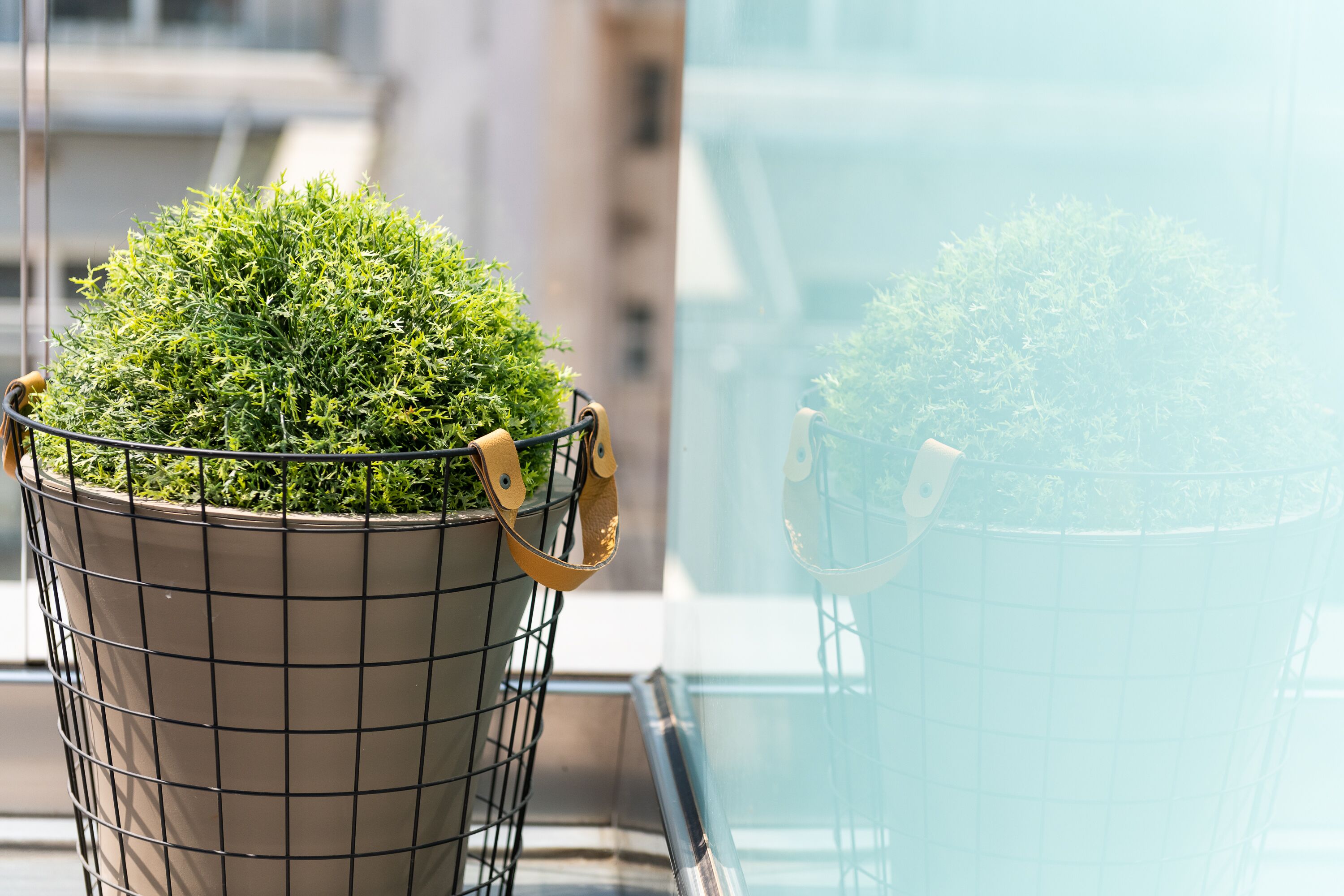 superior double room (acropolis view) | terrace/patio