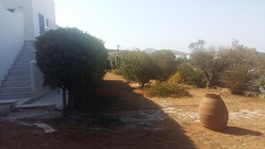 Property grounds - House with view to Cyclades (NAXOS)