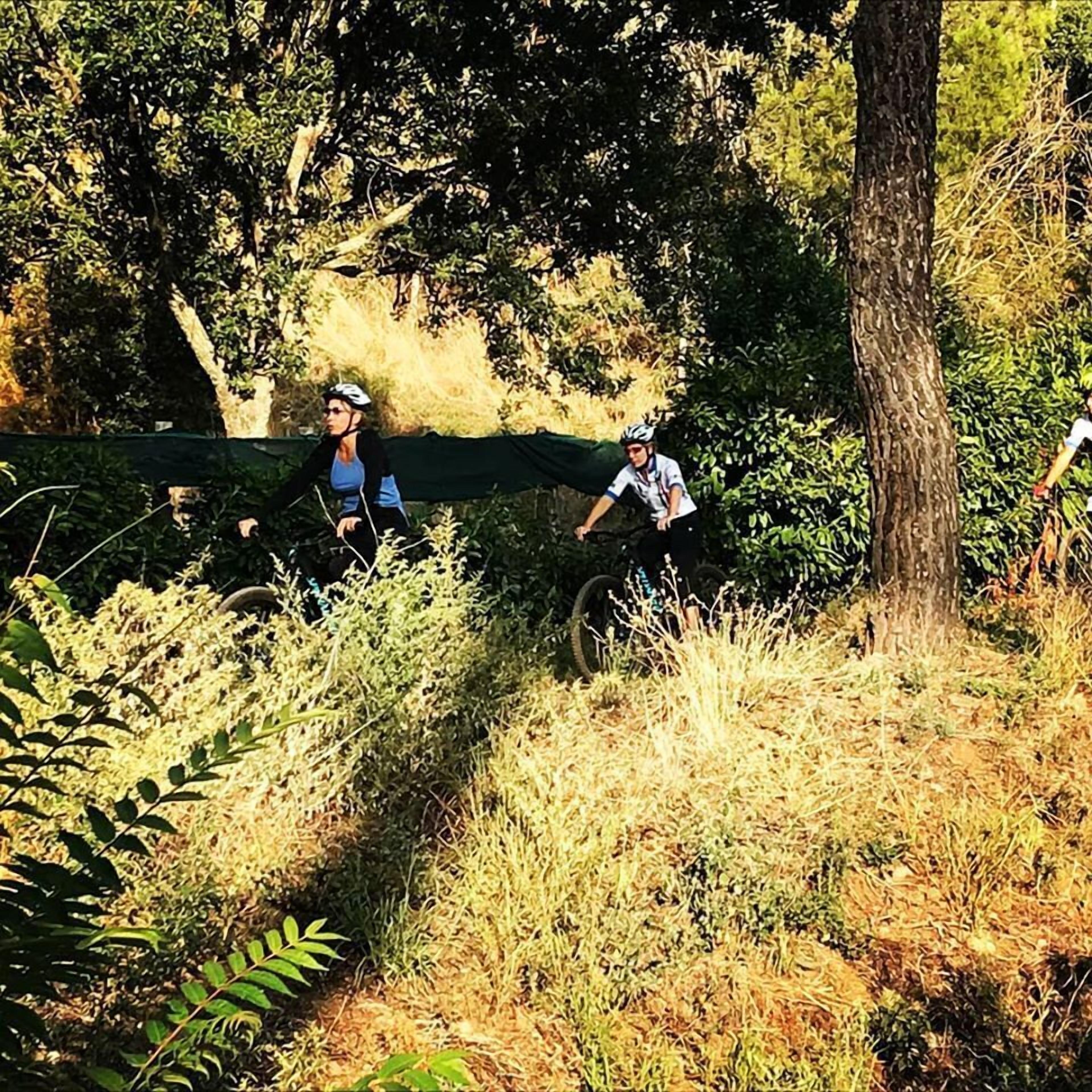 Two cyclists on a trail surrounded by dense foliage and trees.