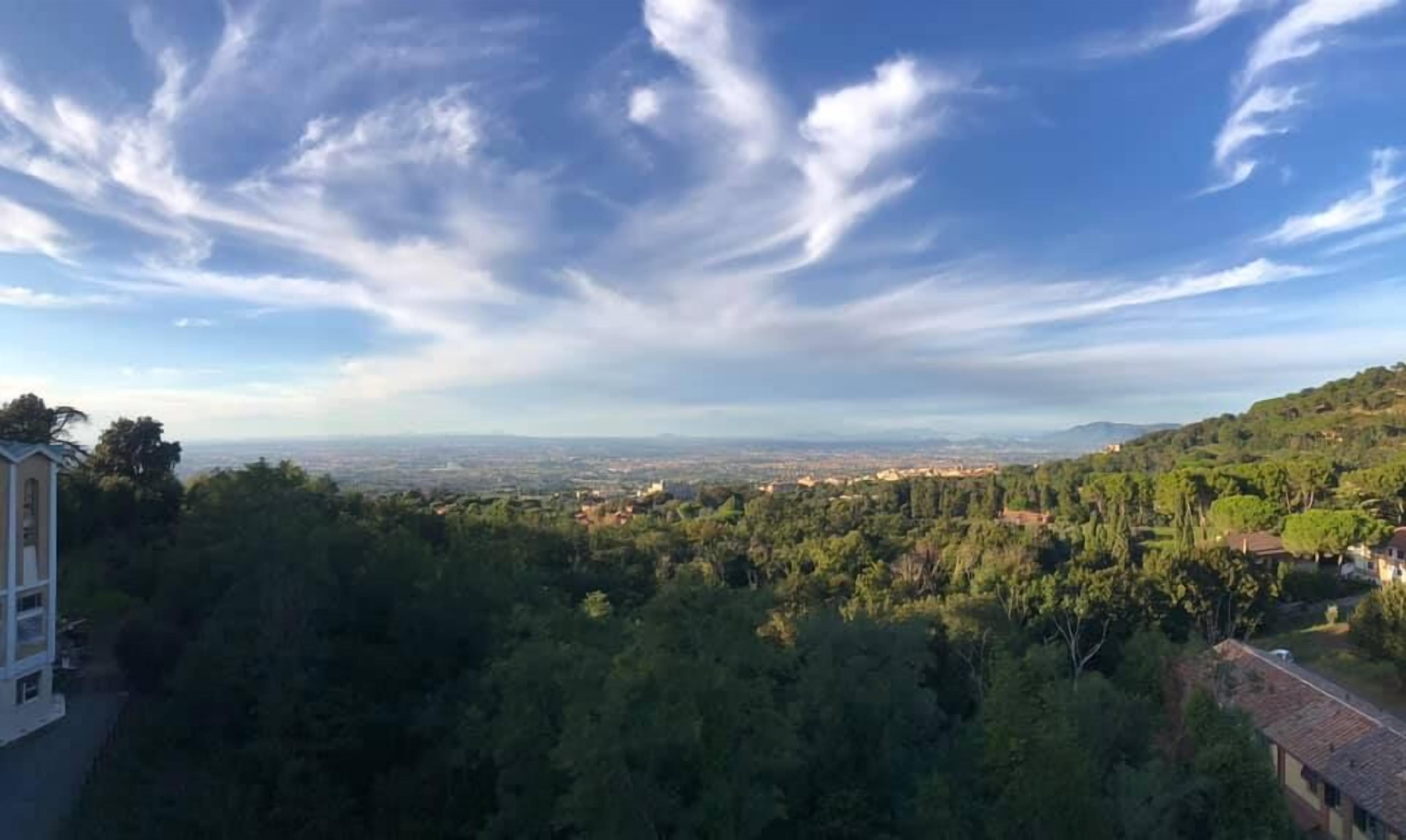 Een panoramisch stadsgezicht met een dichtbegroeid bosgebied op de voorgrond en een heldere lucht erboven.