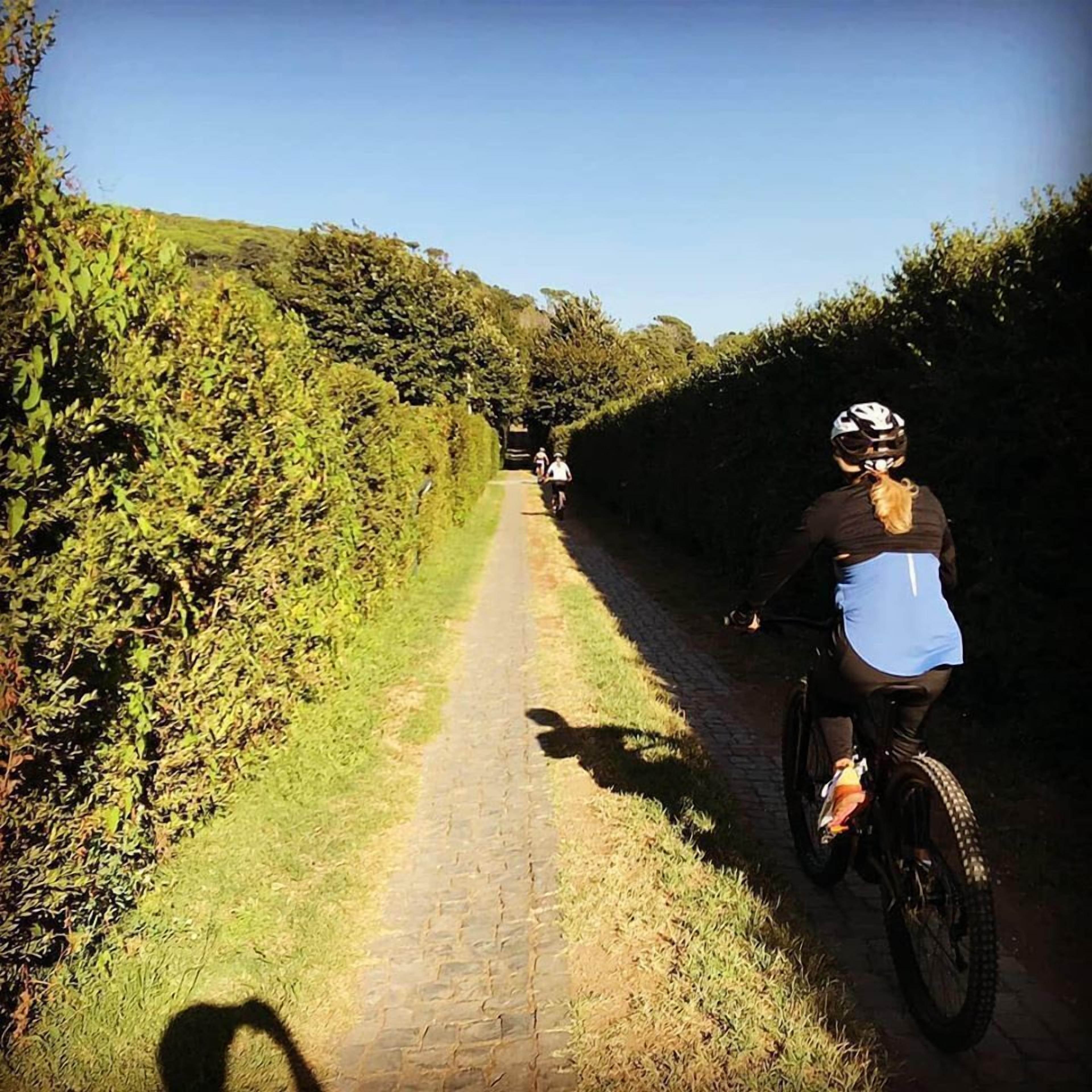 Ein schmaler, befestigter Weg, gesäumt von dichter Vegetation, ideal zum Radfahren oder Wandern.