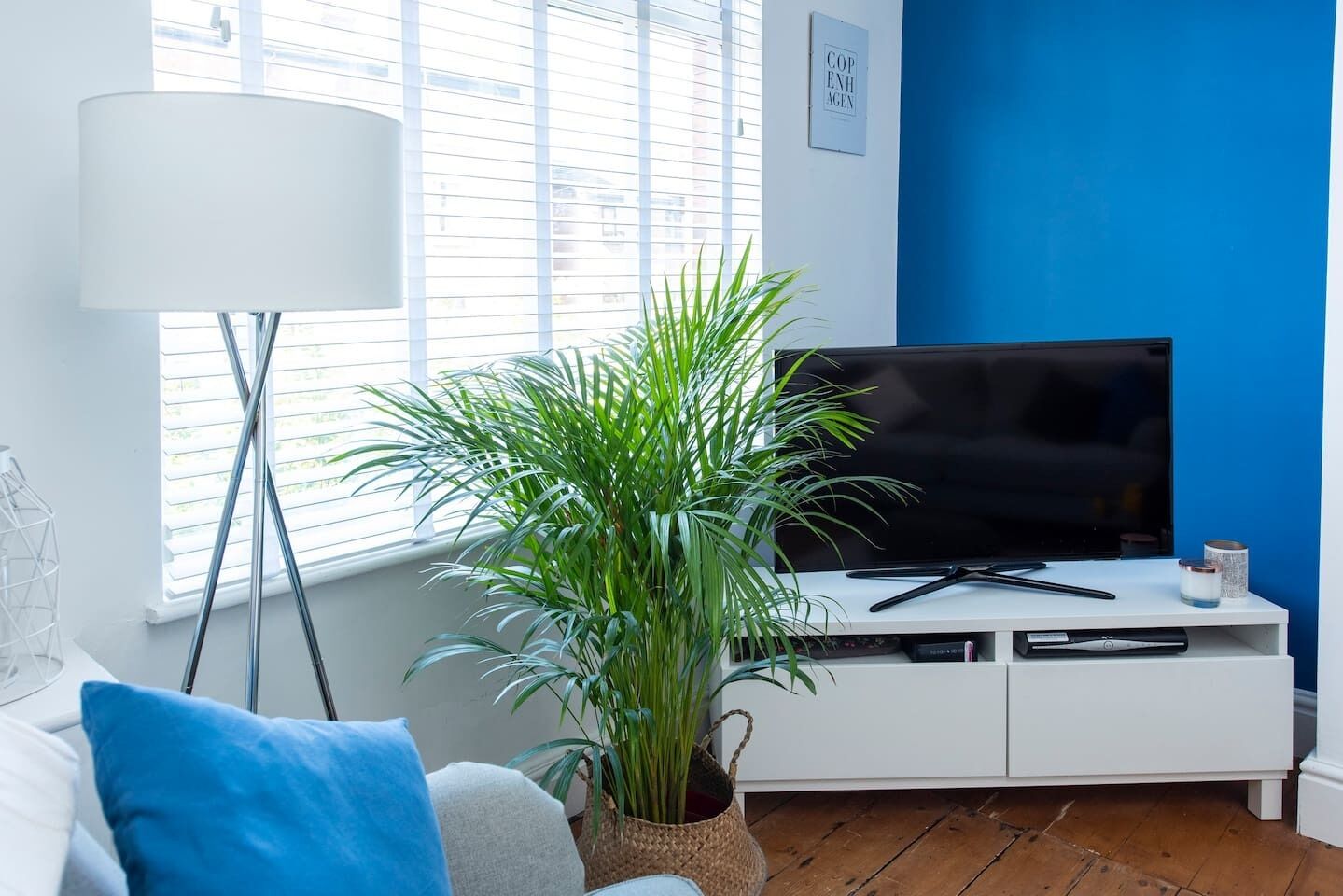 TV, fireplace, Netflix, streaming services
