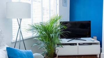 TV, fireplace, Netflix, streaming services