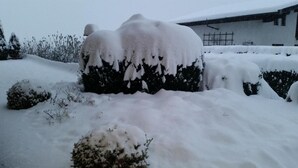 A snow-covered landscape with a large rock formation and snow-laden bushes. - Sportpension Christina (Fuegen)