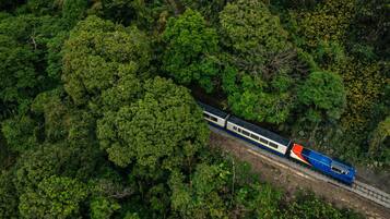 A train traveling through a dense forest.