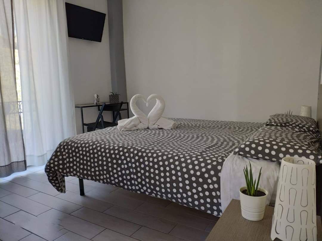 Un dormitorio con una cama, un televisor montado en la pared, una mesita de noche con una lámpara y una planta en maceta.
