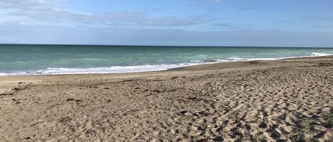 Sur la plage, chaise longue, serviettes de plage