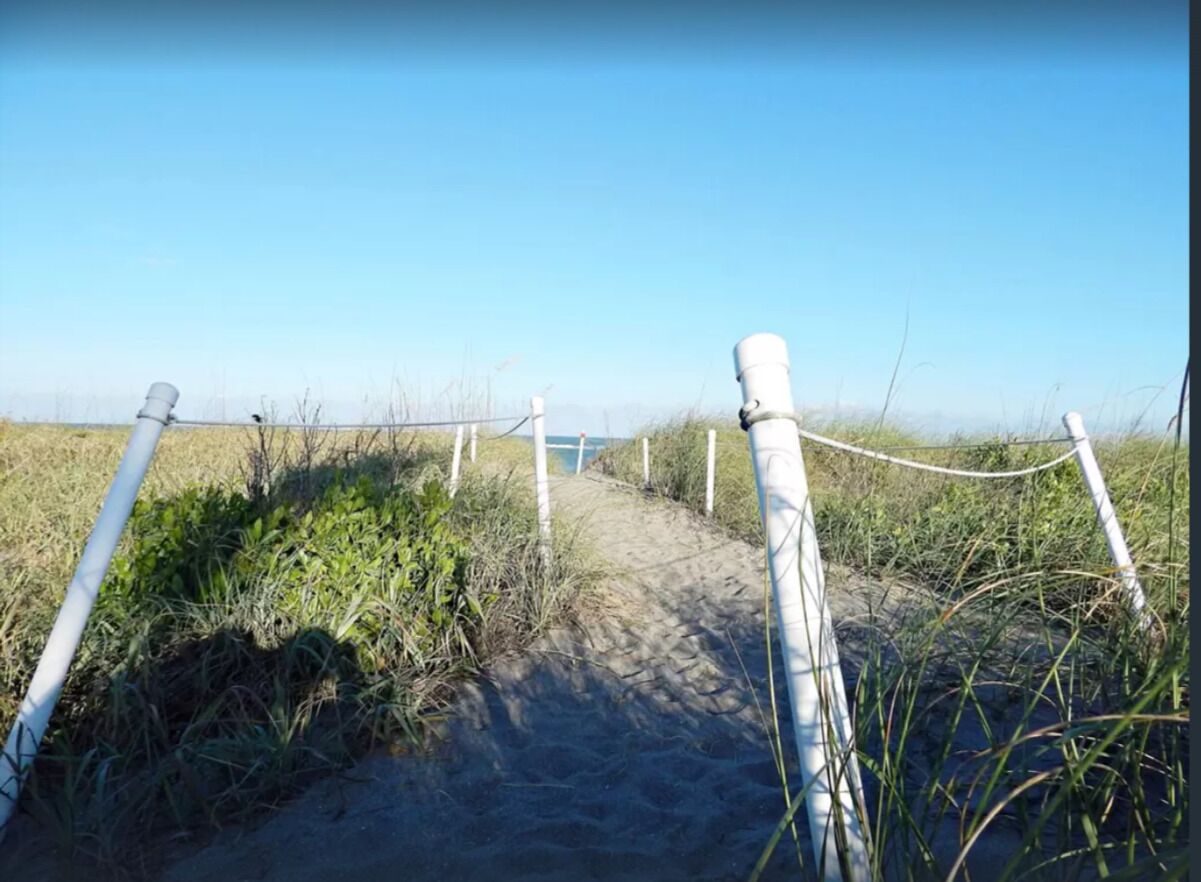 Plage, chaises longues, serviettes de plage